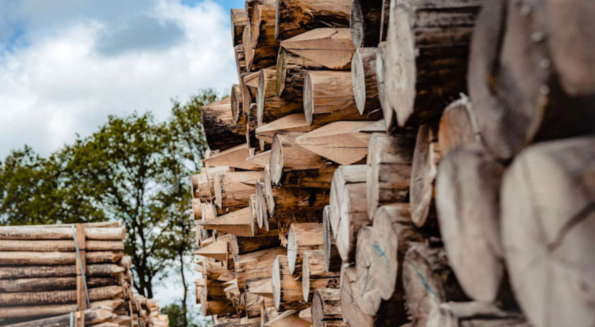 Nobifix hout